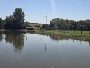 Fotky z brigád 2025 – fotka 81