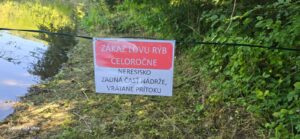 Fotky z brigád 2024 – fotka 26